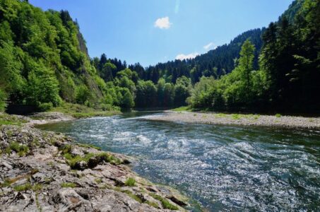 Dunajec River