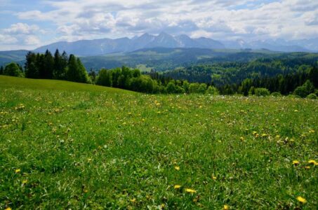 Tatra Mountains
