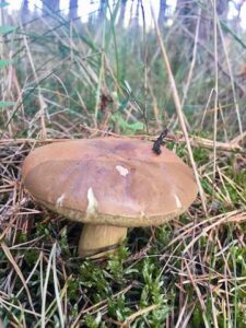 Poland, Bialogora