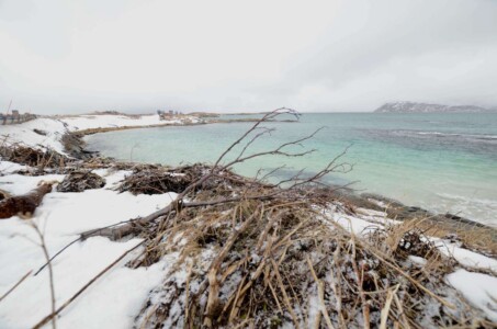 Norway, Sommarøy