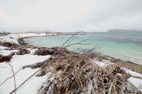 Norway, Sommarøy