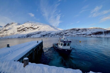 Norway, Elsfjorden
