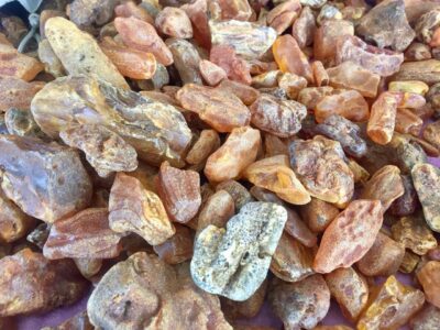 Poland, Kobyla Kępa - amber