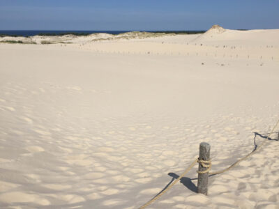 Poland, Łeba - Sand Dunes