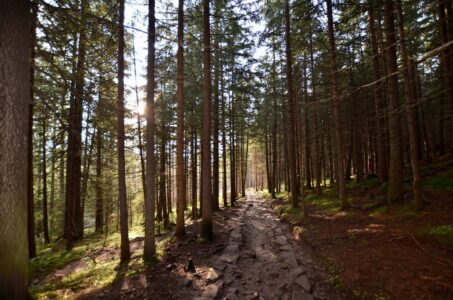 Poland, Tatra Mountains