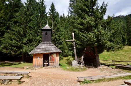 Poland, Tatra Mountains - Chochołowska Valley