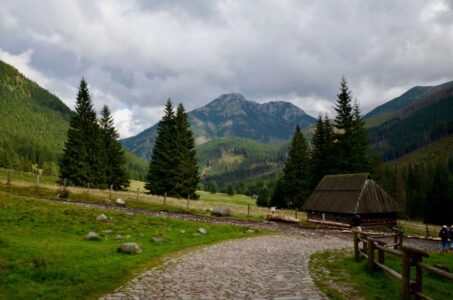 Poland, Tatra Mountains - Chochołowska Valley