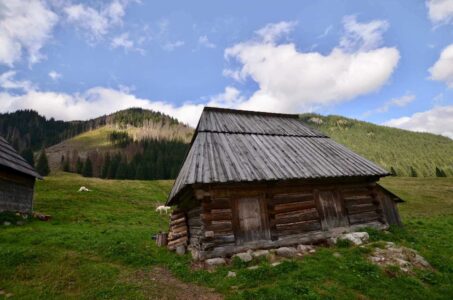 Poland, Tatra Mountains - Chochołowska Valley
