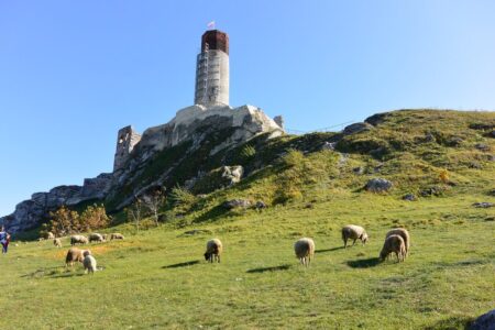 Poland, Jura Krakowsko-Czestochowska