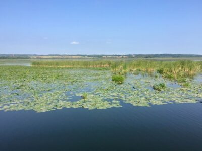 Poland, Elbląg - Kanał Elbląski