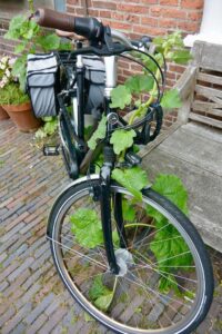 The Netherlands, Haarlem - bikes