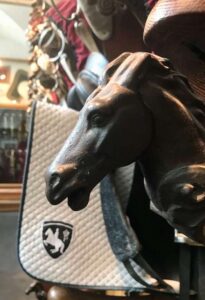 Austria, Vienna - Spanish Riding School