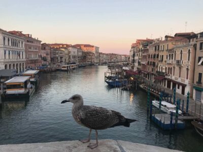 Italy, Venice - Grand Canal