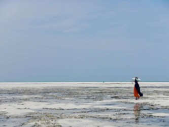 Tanzania, Zanzibar