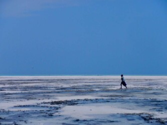 Tanzania, Zanzibar