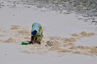 Tanzania, Zanzibar - Collecting Shellfish in the Low Tide