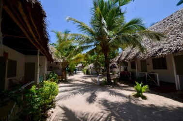Tanzania, Zanzibar - Pili Pili Garden