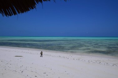 Tanzania, Zanzibar