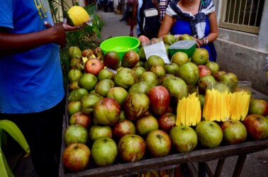 Tanzania, Zanzibar - Mango