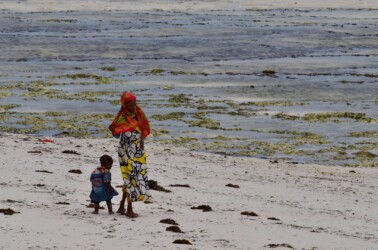 Tanzania, Zanzibar - Collecting Shellfish in the Low Tide