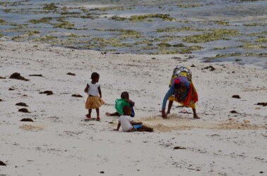 Tanzania, Zanzibar - Collecting Shellfish in the Low Tide