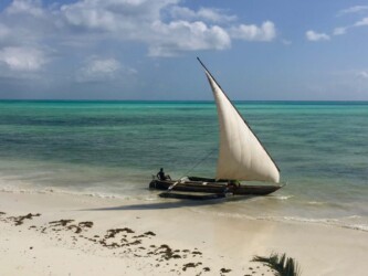 Tanzania, Zanzibar - Traditional Dhow