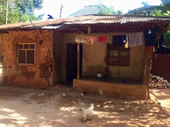 Tanzania, Zanzibar - Local House