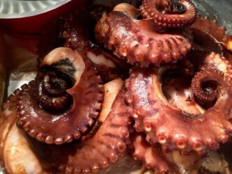 Tanzania, Zanzibar - Seafood