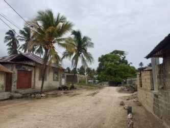 Tanzania, Zanzibar - Jambiani village
