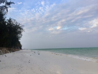Tanzania, Zanzibar