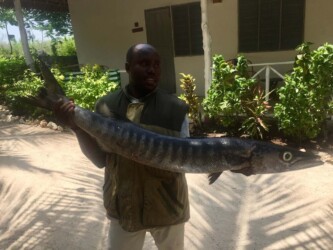 Tanzania, Zanzibar - The Fish