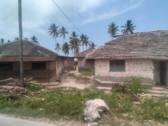 Tanzania, Zanzibar - Jambiani village