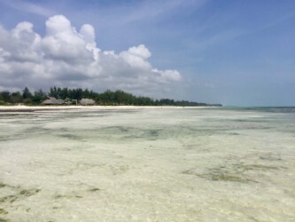 Tanzania, Zanzibar
