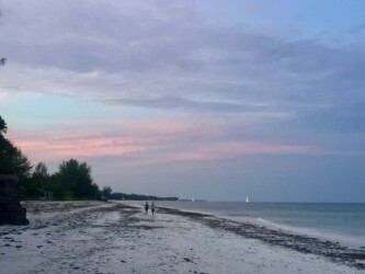 Tanzania, Zanzibar
