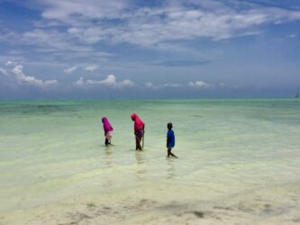 Tanzania, Zanzibar