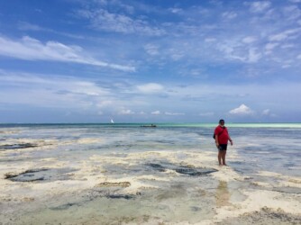 Tanzania, Zanzibar