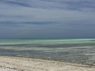 Tanzania, Zanzibar