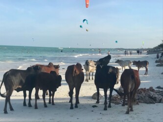 Tanzania, Zanzibar