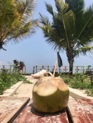 Tanzania, Zanzibar