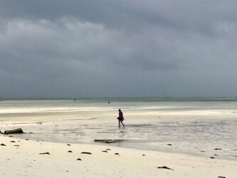 Tanzania, Zanzibar