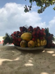 Tanzania, Zanzibar - Local Fruits