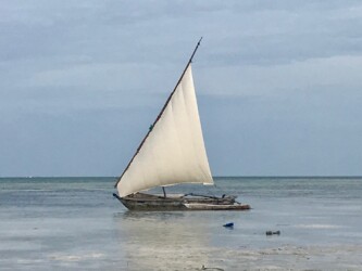 Tanzania, Zanzibar - Traditional Dhow