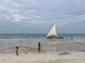 Tanzania, Zanzibar - Traditional Dhow