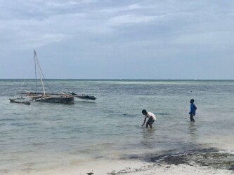 Tanzania, Zanzibar