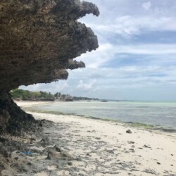 Tanzania, Zanzibar