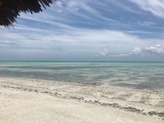 Tanzania, Zanzibar