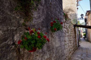Montenegro, Kotor Bay - Perast