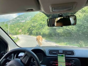 Kosovo - speed limits