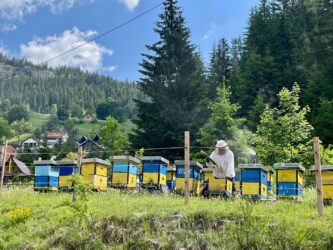 Kosovo, Accoursed Mountains