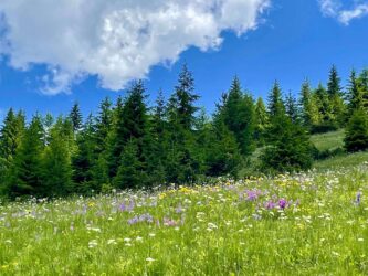 Kosovo, Accoursed Mountains